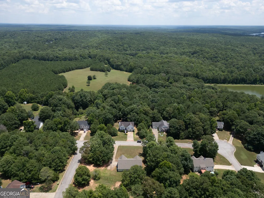 314 Black Willow CT Locust Grove, GA 30248