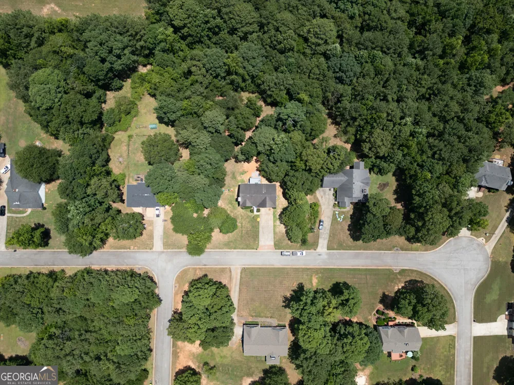 314 Black Willow CT Locust Grove, GA 30248
