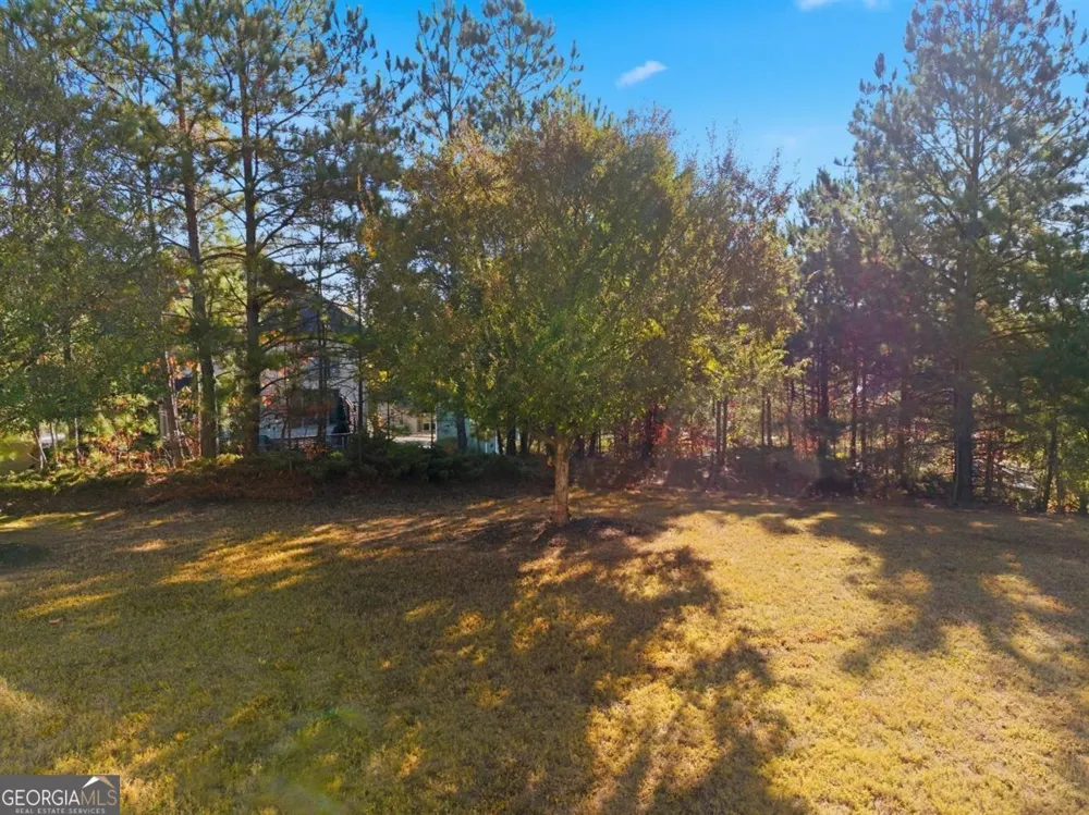 1719 Cromwell LN Lithia Springs, GA 30122