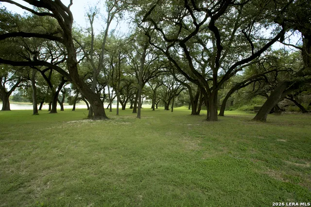 325 RIVER RDG Spring Branch, TX 78070