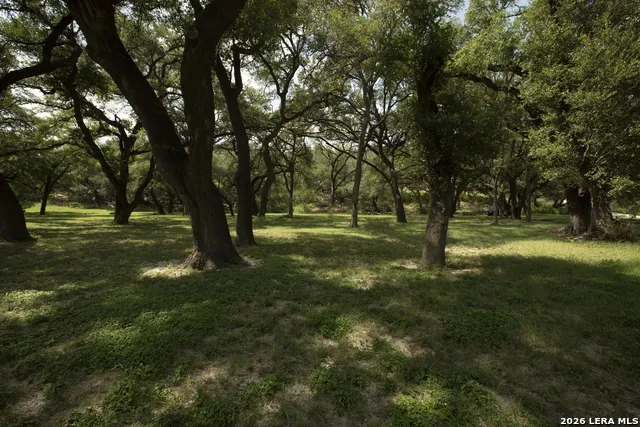 325 RIVER RDG Spring Branch, TX 78070