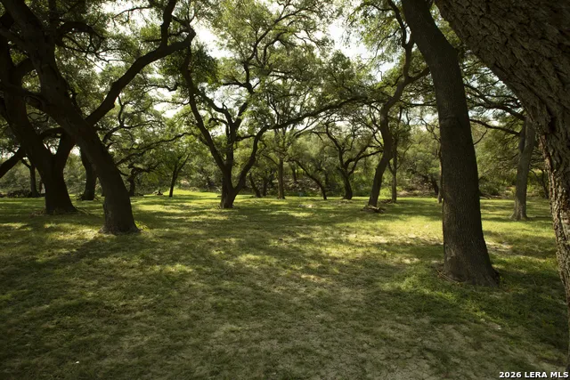325 RIVER RDG Spring Branch, TX 78070