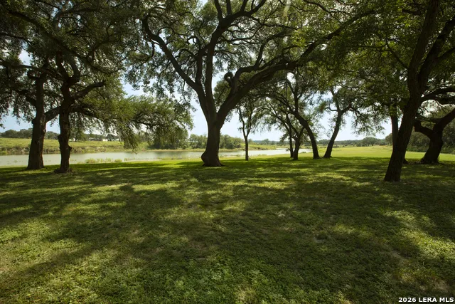 325 RIVER RDG Spring Branch, TX 78070