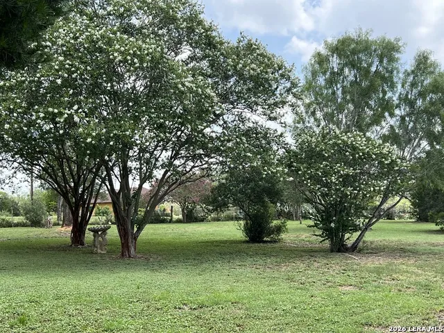 444 COUNTY ROAD 4770 Castroville, TX 78009