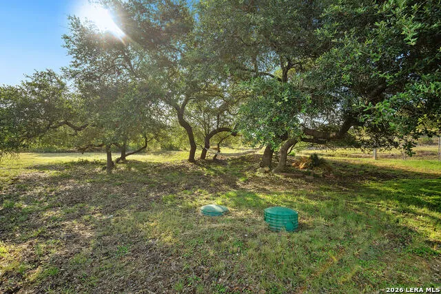 5913 Temerity Bulverde, TX 78163