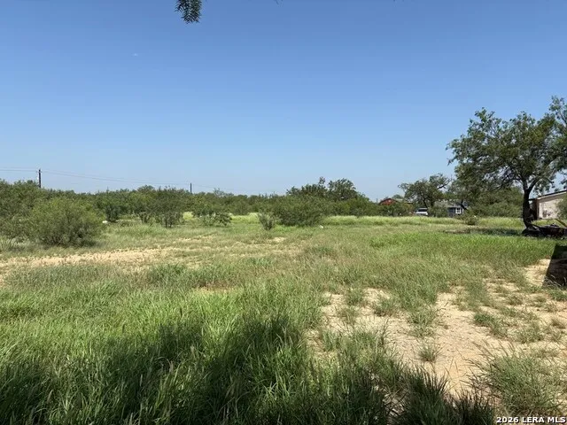 421 Las Tobia Dr Carrizo Springs, TX 78834