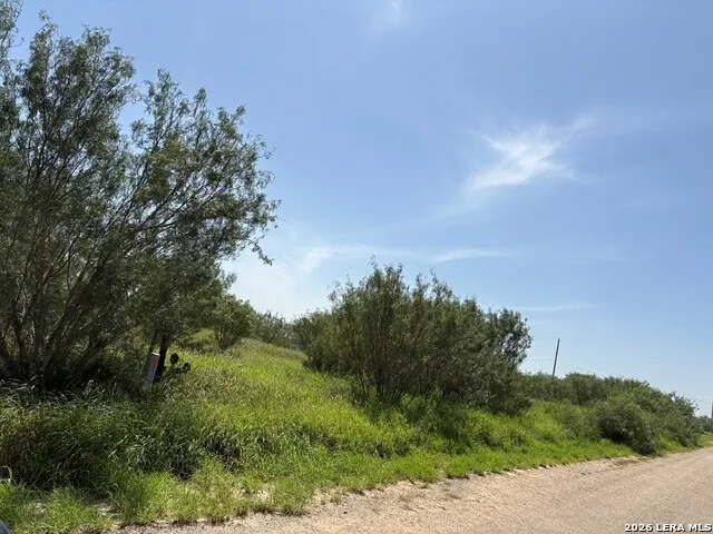 421 Las Tobia Dr Carrizo Springs, TX 78834