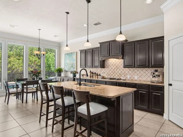 21810 Rugosa Hill San Antonio, TX 78256