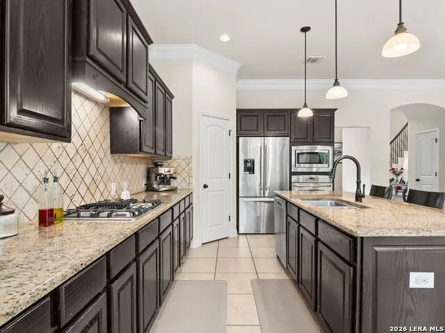 21810 Rugosa Hill San Antonio, TX 78256