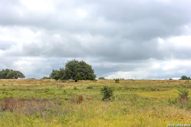 245 NW Big Sky Rd Harper, TX 78631
