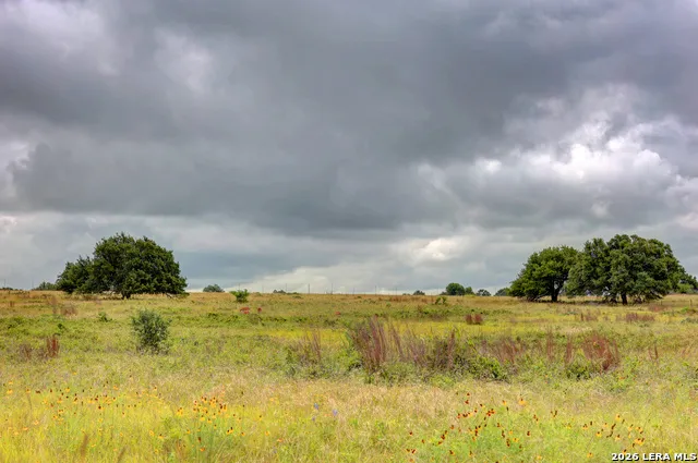 245 NW Big Sky Rd Harper, TX 78631