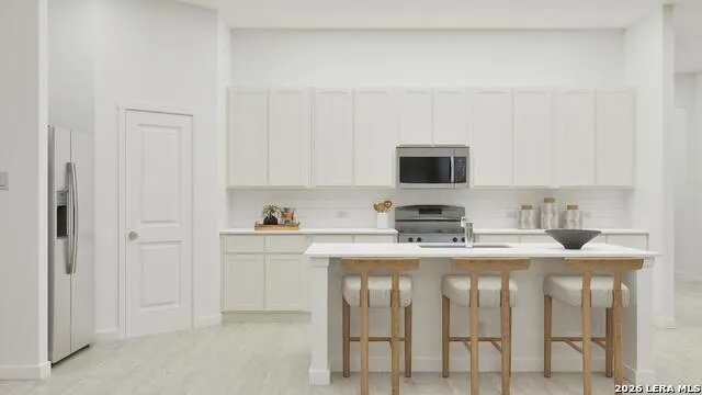 13389 Painted Canyon St Spring Branch, TX 78070