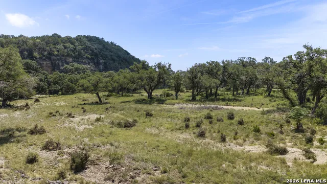 29008 CIBOLO CLIFF RD Bulverde, TX 78163