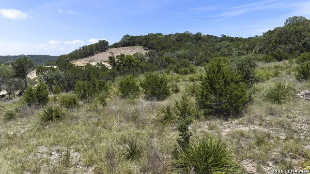 29008 CIBOLO CLIFF RD Bulverde, TX 78163