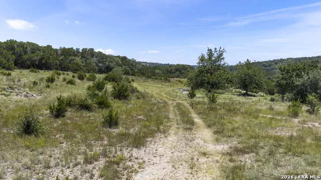 29008 CIBOLO CLIFF RD Bulverde, TX 78163