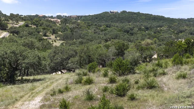 29008 CIBOLO CLIFF RD Bulverde, TX 78163