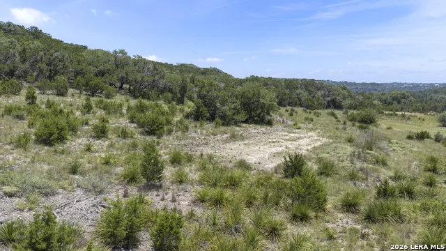 29008 CIBOLO CLIFF RD Bulverde, TX 78163