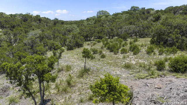 29008 CIBOLO CLIFF RD Bulverde, TX 78163