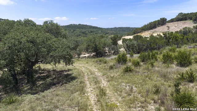 29008 CIBOLO CLIFF RD Bulverde, TX 78163