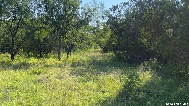 523 KAHN RD Rio Frio, TX 78879