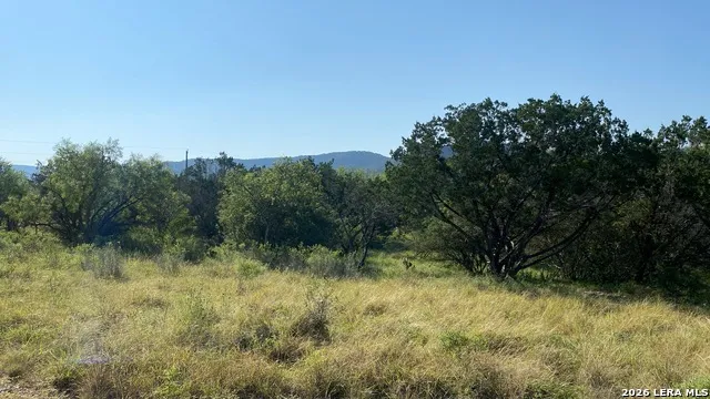 523 KAHN RD Rio Frio, TX 78879