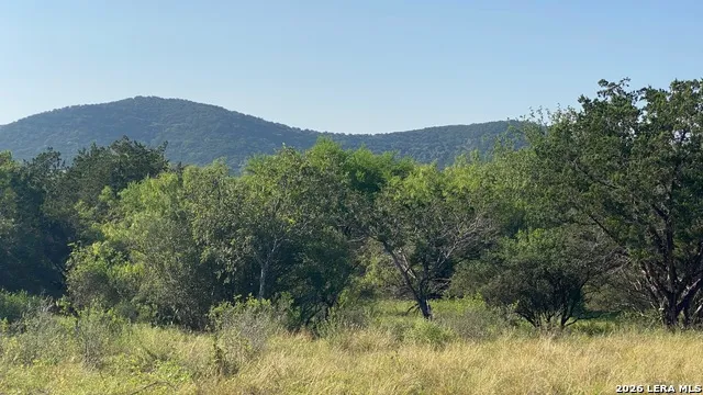 523 KAHN RD Rio Frio, TX 78879