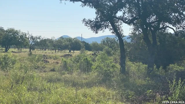 523 KAHN RD Rio Frio, TX 78879
