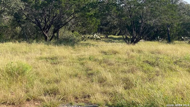 523 KAHN RD Rio Frio, TX 78879