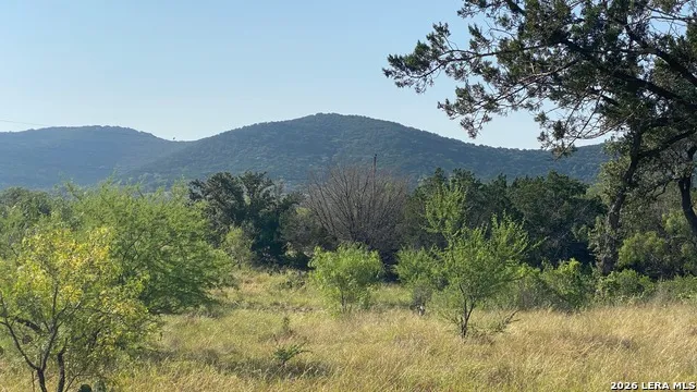 523 KAHN RD Rio Frio, TX 78879