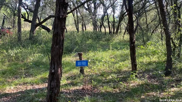 523 KAHN RD Rio Frio, TX 78879