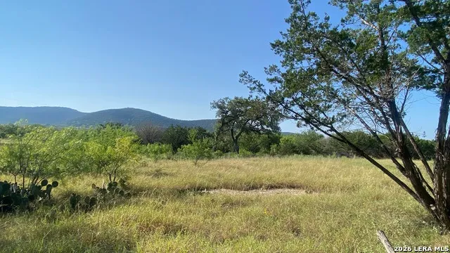 523 KAHN RD Rio Frio, TX 78879