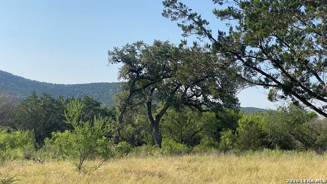 523 KAHN RD Rio Frio, TX 78879
