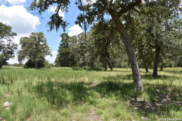 TBD CR 444 Yoakum, TX 77995