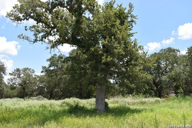 TBD CR 444 Yoakum, TX 77995