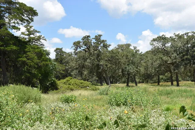 TBD CR 444 Yoakum, TX 77995