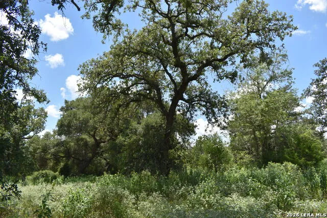 TBD CR 444 Yoakum, TX 77995