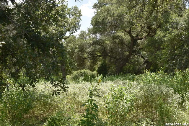 TBD CR 444 Yoakum, TX 77995