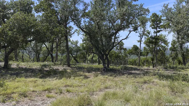 322 Mitchell Dr Spring Branch, TX 78070