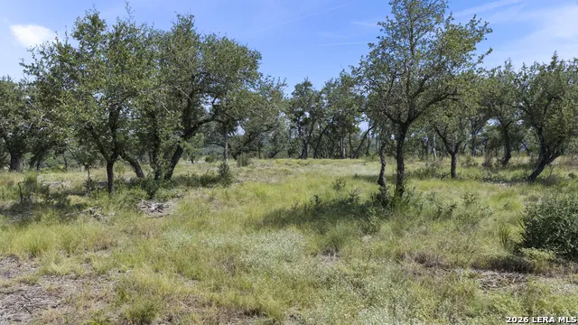 322 Mitchell Dr Spring Branch, TX 78070