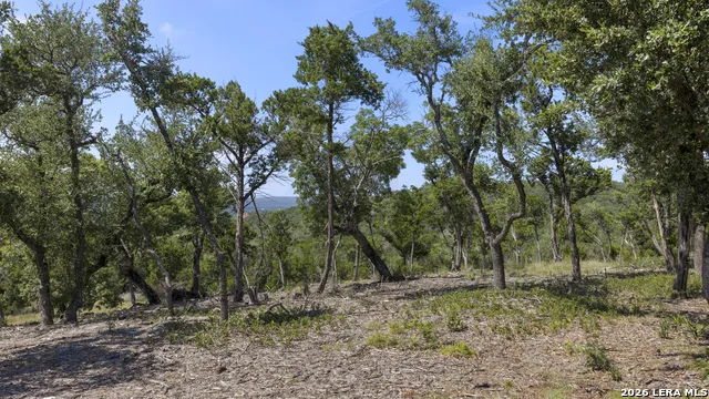 322 Mitchell Dr Spring Branch, TX 78070
