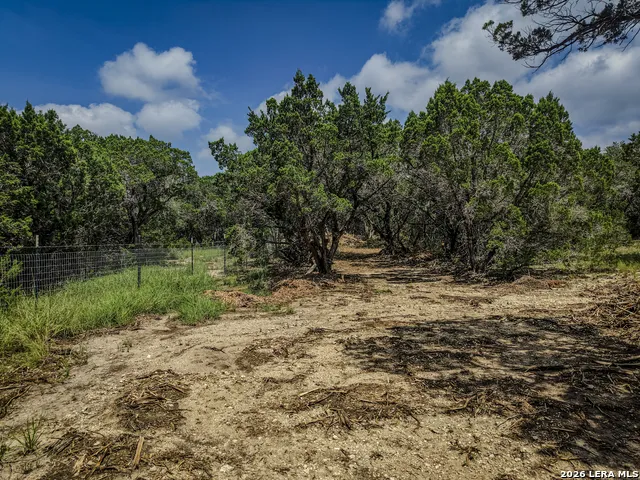 974 Laurel Creek Pipe Creek, TX 78063