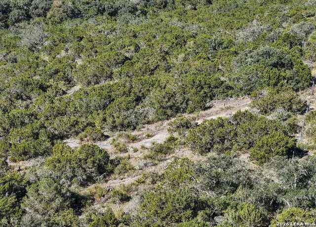 219 County Road 2741 Mico, TX 78056