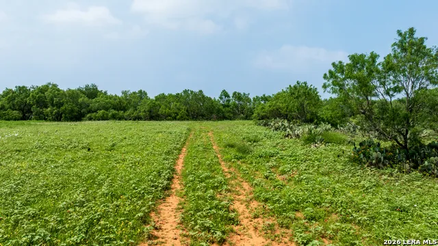 TBD County Road 3000 Keystone Pearsall, TX 78061