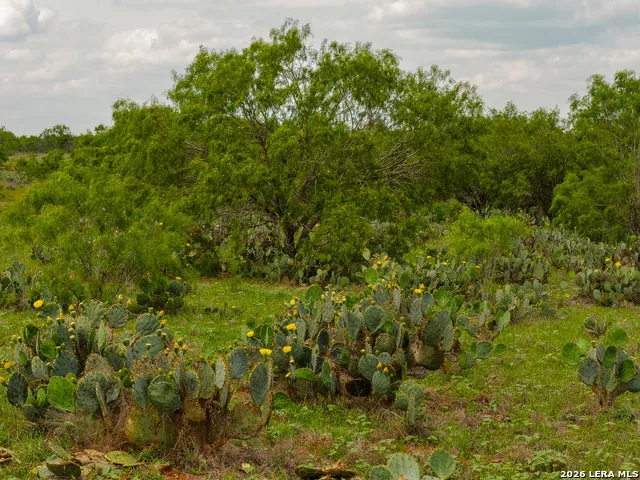 TBD County Road 3000 Keystone Pearsall, TX 78061