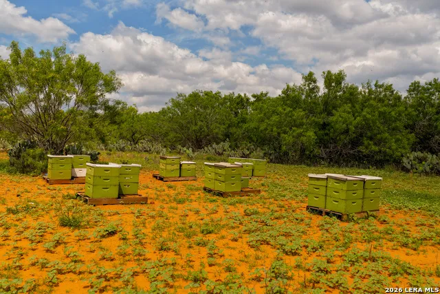 TBD County Road 3000 Keystone Pearsall, TX 78061