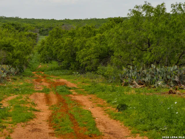 TBD County Road 3000 Keystone Pearsall, TX 78061