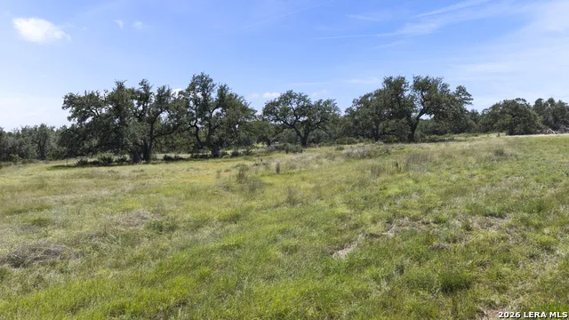 227 Mitchell Dr Spring Branch, TX 78070