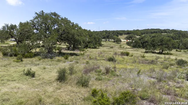 227 Mitchell Dr Spring Branch, TX 78070