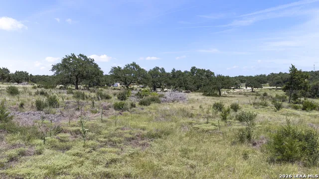 227 Mitchell Dr Spring Branch, TX 78070