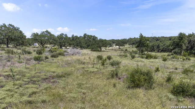 227 Mitchell Dr Spring Branch, TX 78070